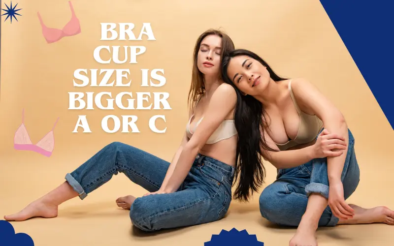 Which is bigger cup size B or C, Bra cup size bigger a or c reddit, Bra size calculator, C cup size, bra size a b c d which is bigger, D cup size, Cup size chart, C cup size in cm,