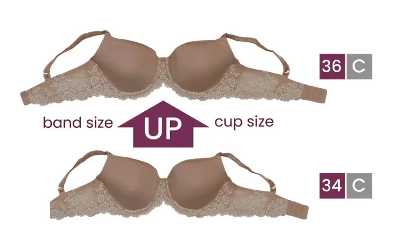 If you go up a cup size do you go down a band size, Go up a cup size or band size reddit, Go up a cup size or band size bra, Bra size calculator, How to go up a cup size in a bra, How to go down a cup size in a bra, How to measure bra size, How to go up a band size in bras,